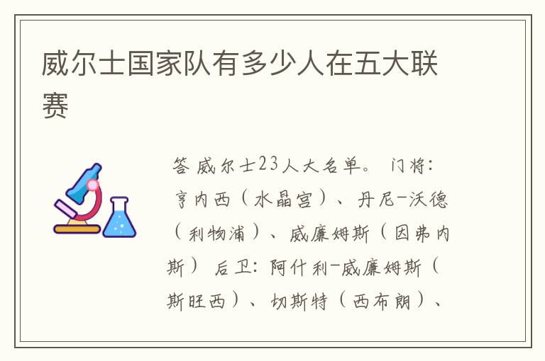 威尔士国家队有多少人在五大联赛