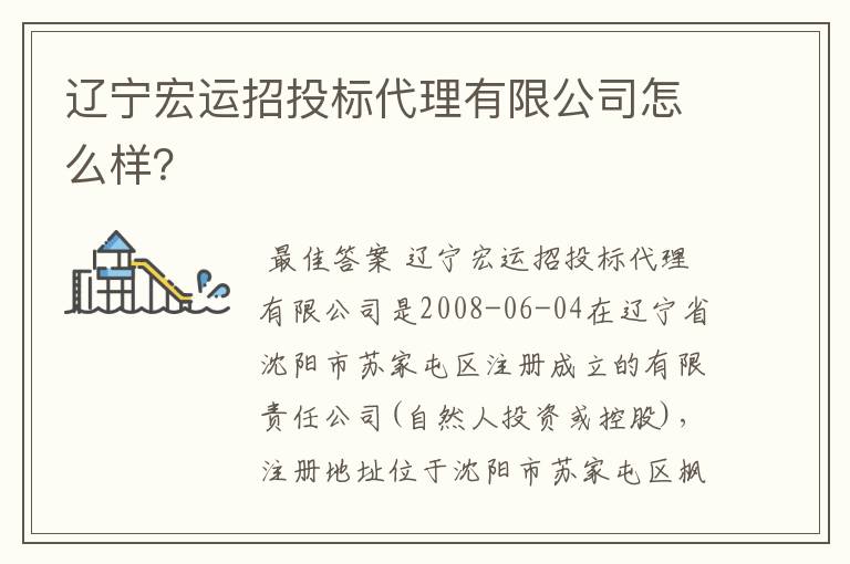 辽宁宏运招投标代理有限公司怎么样?