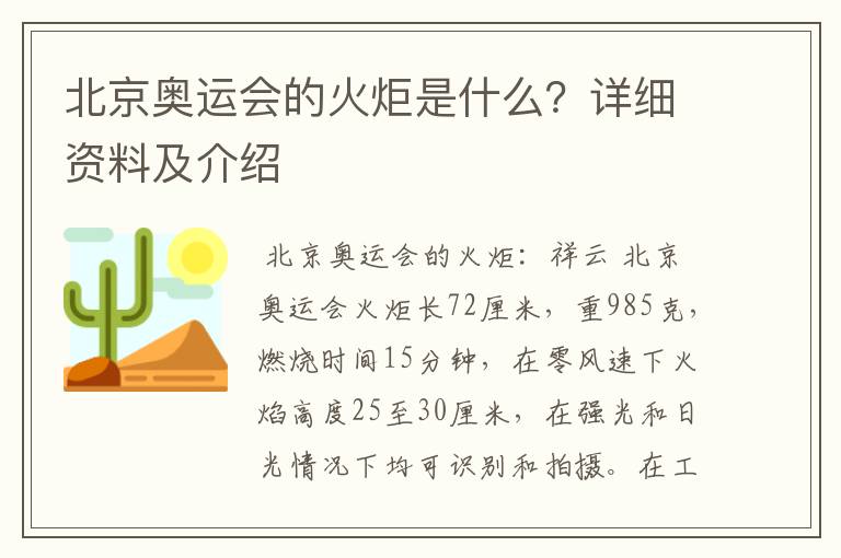 北京奥运会的火炬是什么?详细资料及介绍