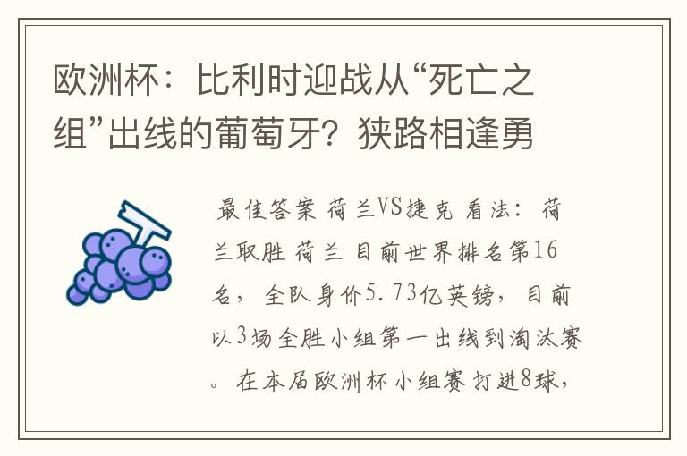 欧洲杯:比利时迎战从“死亡之组”出线的葡萄牙?狭路相逢勇者胜