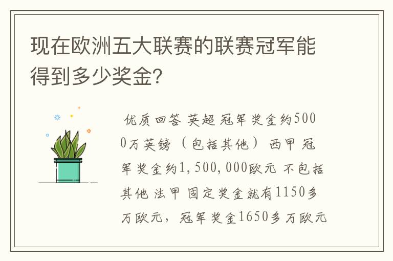现在欧洲五大联赛的联赛冠军能得到多少奖金?