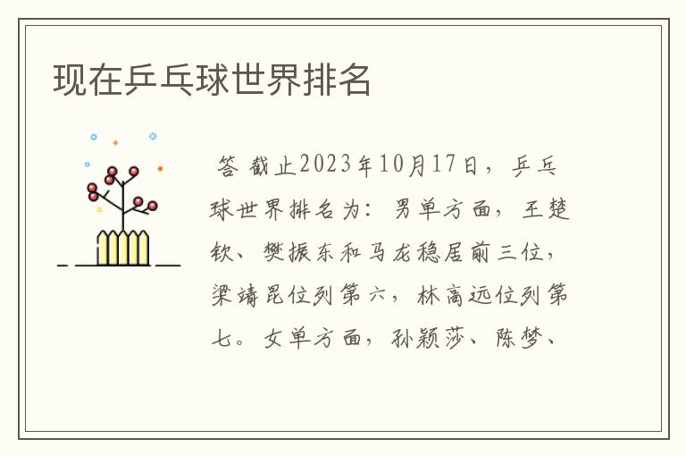 现在乒乓球世界排名