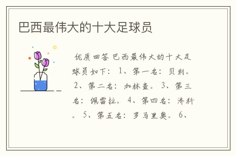 巴西最伟大的十大足球员