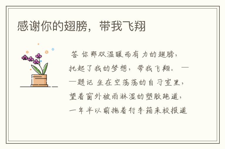 感谢你的翅膀,带我飞翔