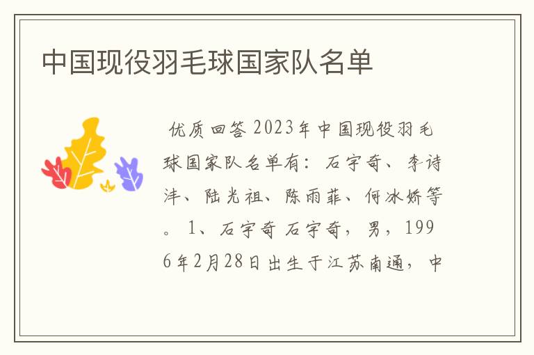 中国现役羽毛球国家队名单