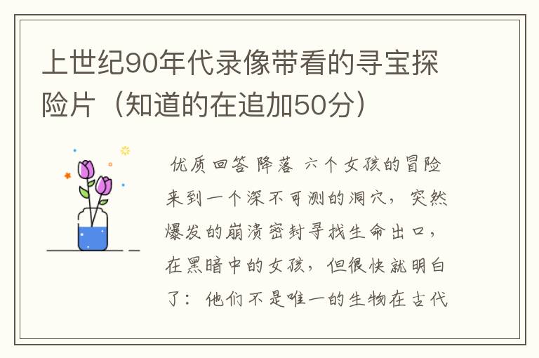 上世纪90年代录像带看的寻宝探险片(知道的在追加50分)