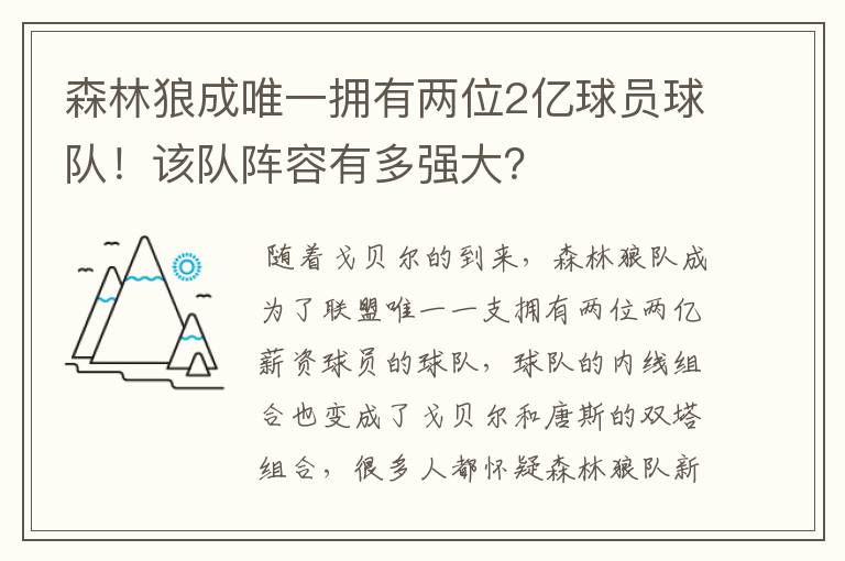 森林狼成唯一拥有两位2亿球员球队！该队阵容有多强大？