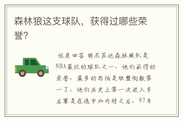 森林狼这支球队，获得过哪些荣誉？