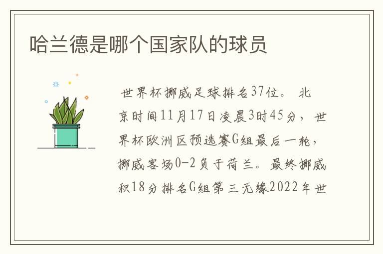 哈兰德是哪个国家队的球员