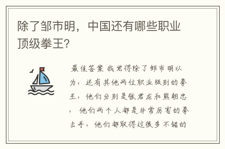 除了邹市明,中国还有哪些职业顶级拳王?
