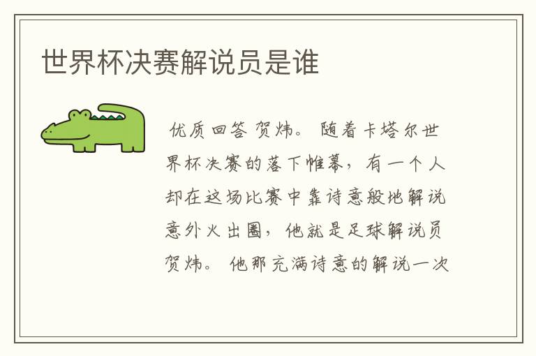 世界杯决赛解说员是谁
