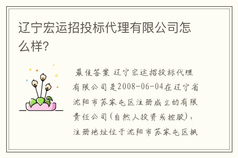 辽宁宏运招投标代理有限公司怎么样?