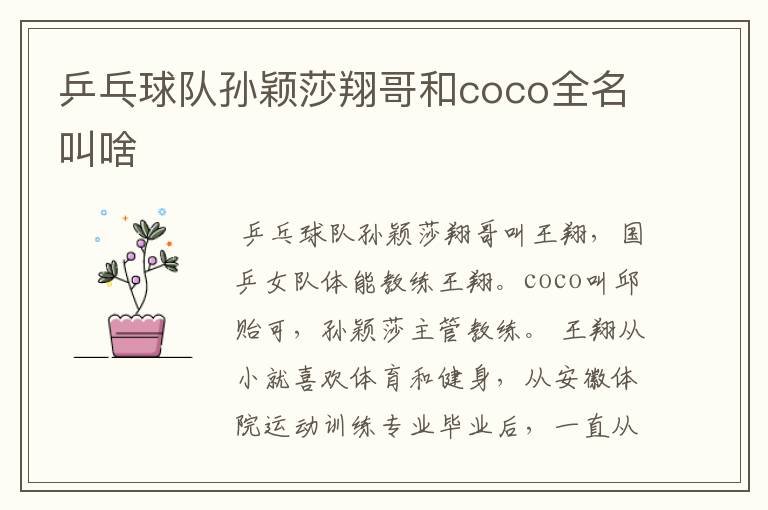 乒乓球队孙颖莎翔哥和coco全名叫啥