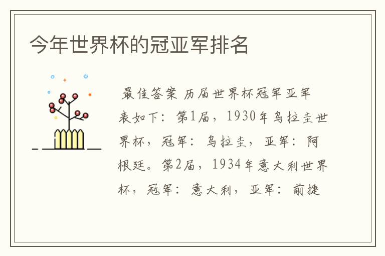 今年世界杯的冠亚军排名