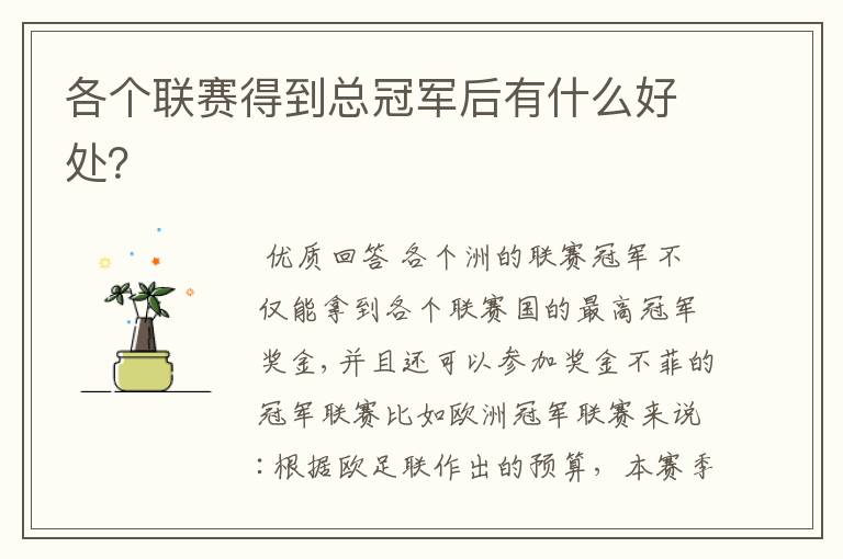 各个联赛得到总冠军后有什么好处?