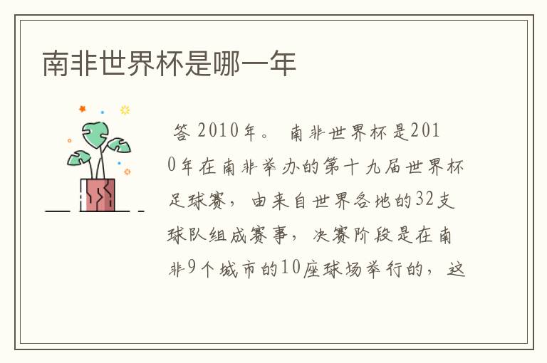 南非世界杯是哪一年