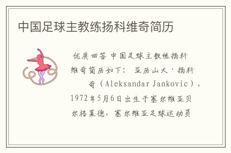 中国足球主教练扬科维奇简历