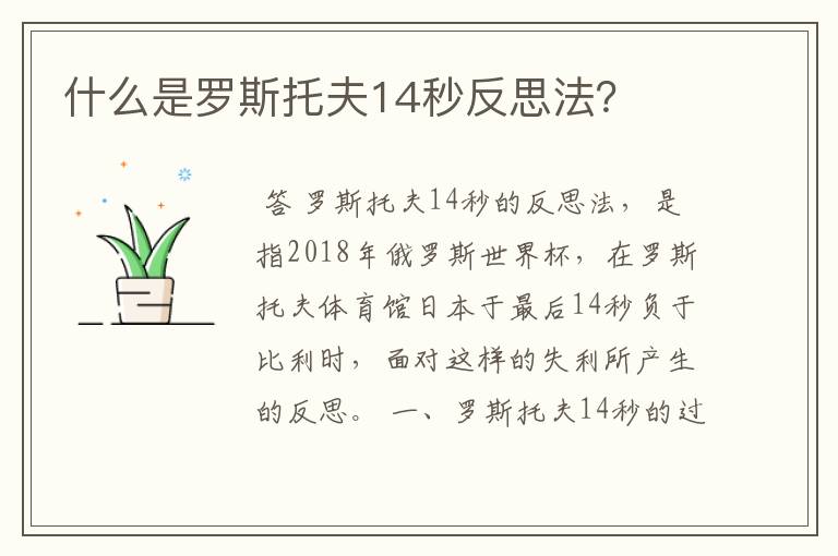 什么是罗斯托夫14秒反思法?