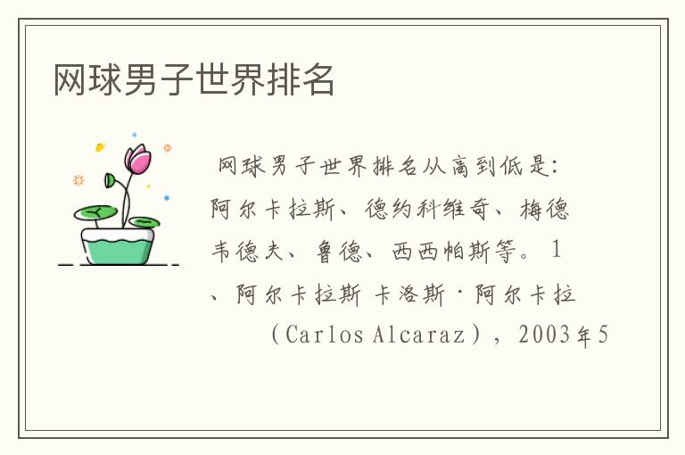 网球男子世界排名