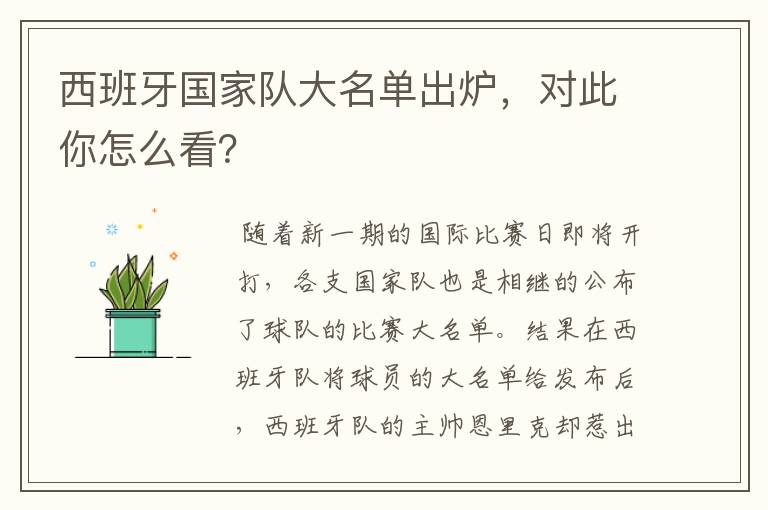 西班牙国家队大名单出炉,对此你怎么看?