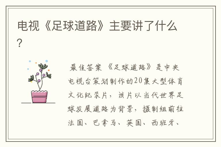 电视《足球道路》主要讲了什么?