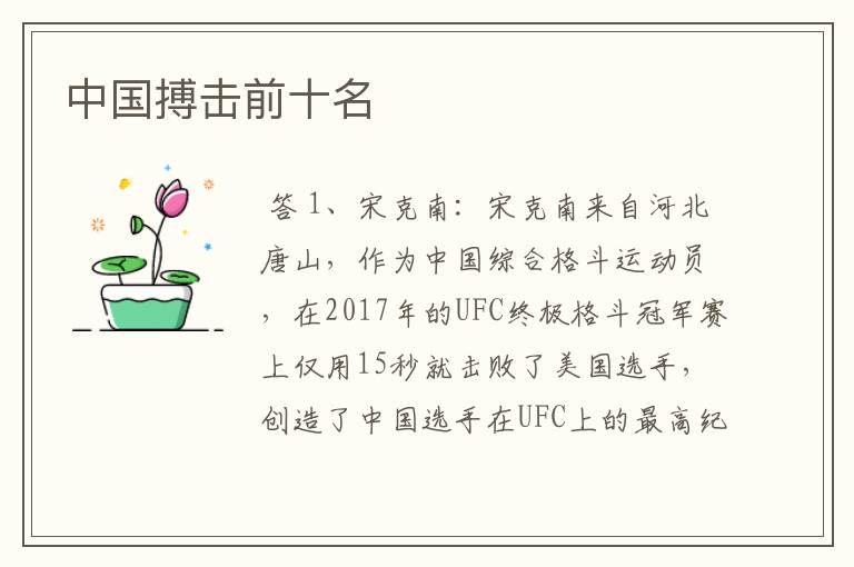 中国搏击前十名
