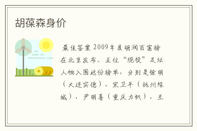 胡葆森身价