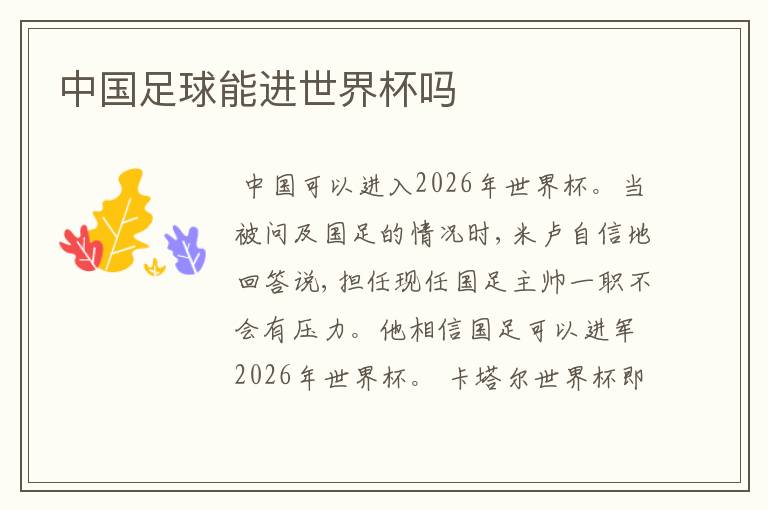 中国足球能进世界杯吗