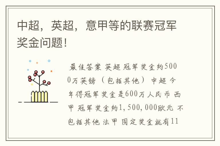 中超,英超,意甲等的联赛冠军奖金问题!