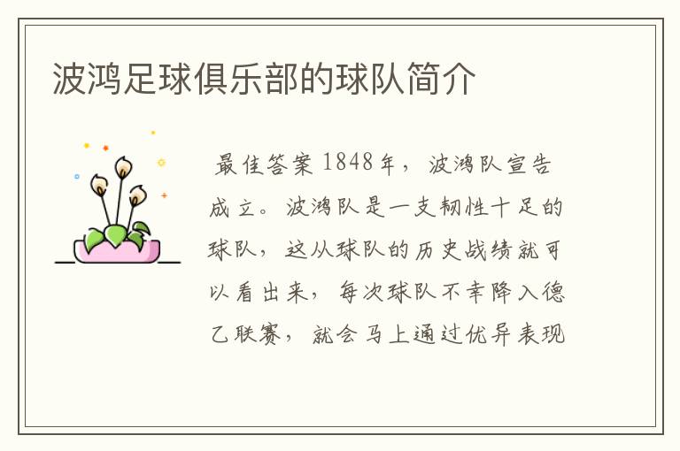 波鸿足球俱乐部的球队简介