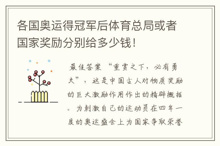 各国奥运得冠军后体育总局或者国家奖励分别给多少钱!