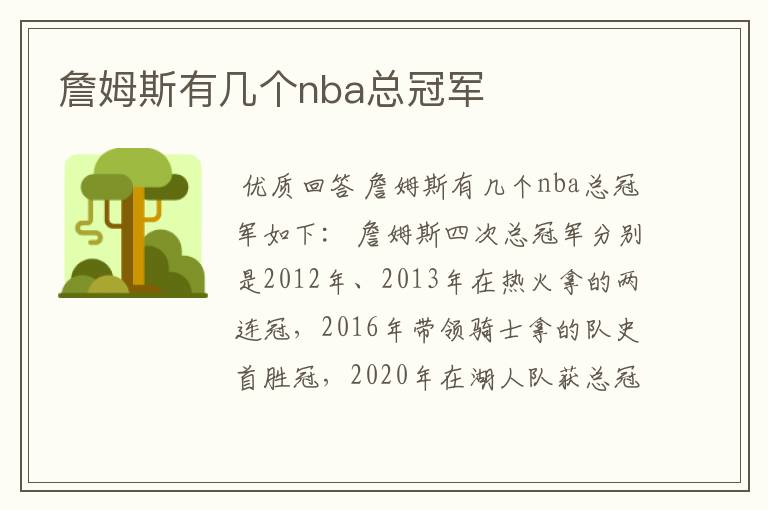 詹姆斯有几个nba总冠军