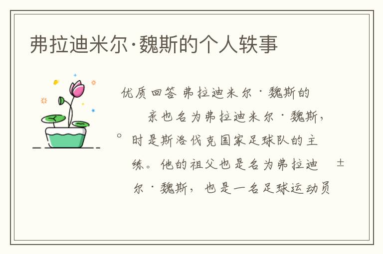 弗拉迪米尔·魏斯的个人轶事
