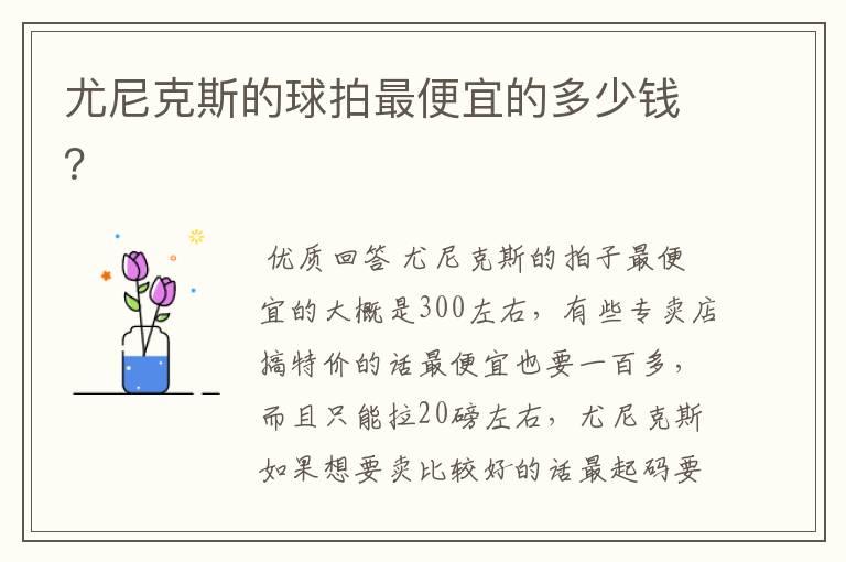尤尼克斯的球拍最便宜的多少钱?