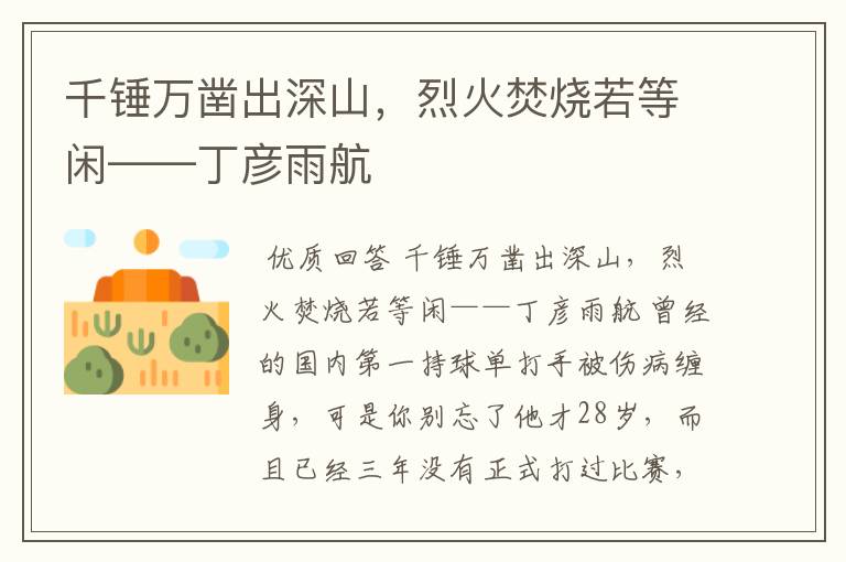 千锤万凿出深山,烈火焚烧若等闲——丁彦雨航