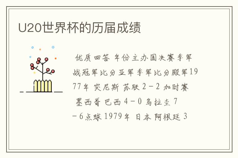 U20世界杯的历届成绩
