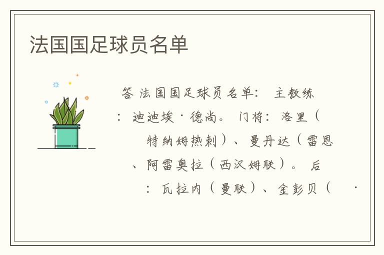 法国国足球员名单