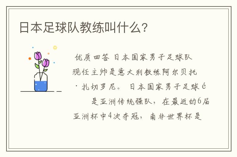 日本足球队教练叫什么?