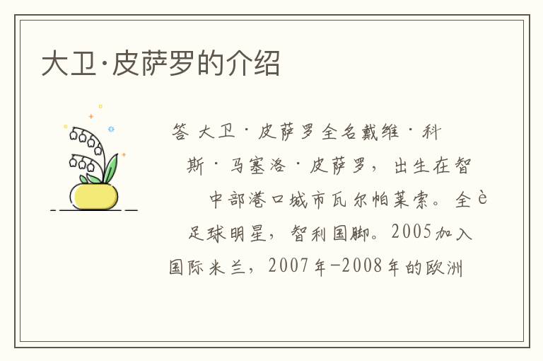 大卫·皮萨罗的介绍
