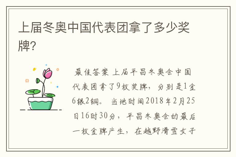 上届冬奥中国代表团拿了多少奖牌?