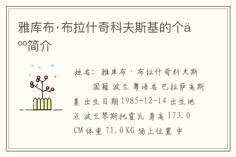 雅库布·布拉什奇科夫斯基的个人简介