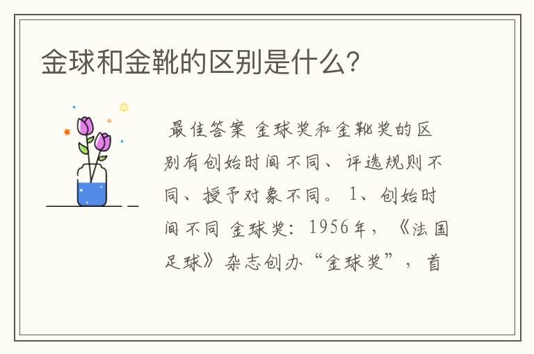 金球和金靴的区别是什么?