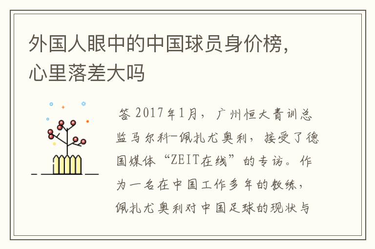外国人眼中的中国球员身价榜，心里落差大吗