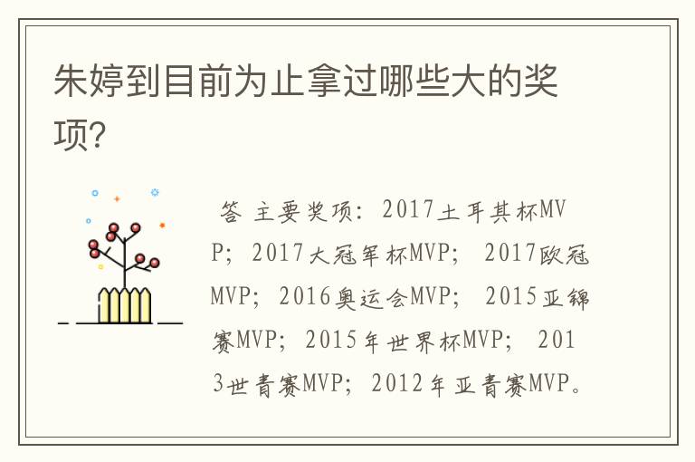 朱婷到目前为止拿过哪些大的奖项?