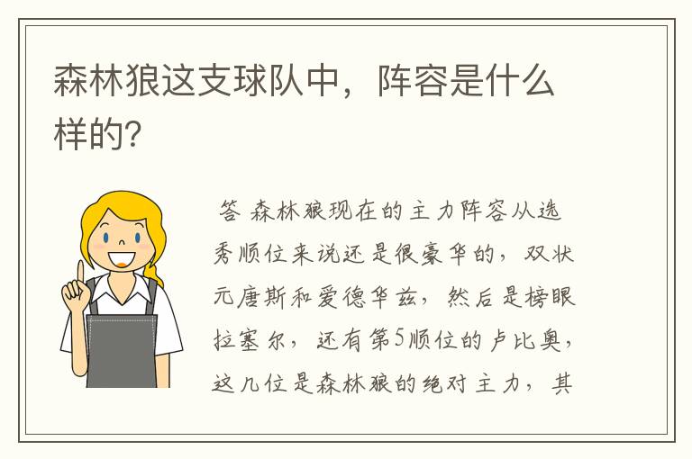 森林狼这支球队中,阵容是什么样的?