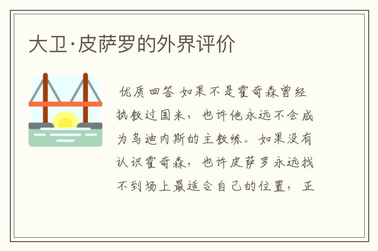大卫·皮萨罗的外界评价