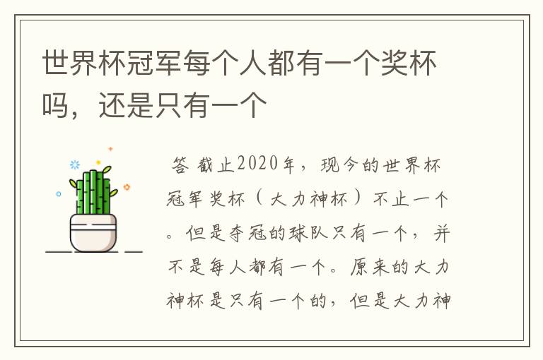 世界杯冠军每个人都有一个奖杯吗,还是只有一个