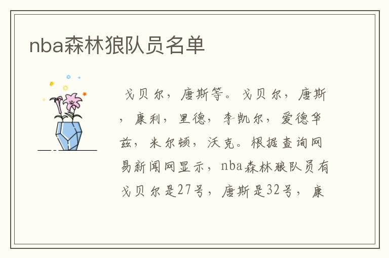 nba森林狼队员名单