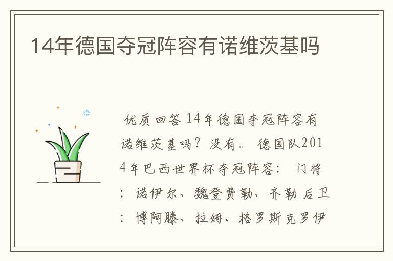 14年德国夺冠阵容有诺维茨基吗