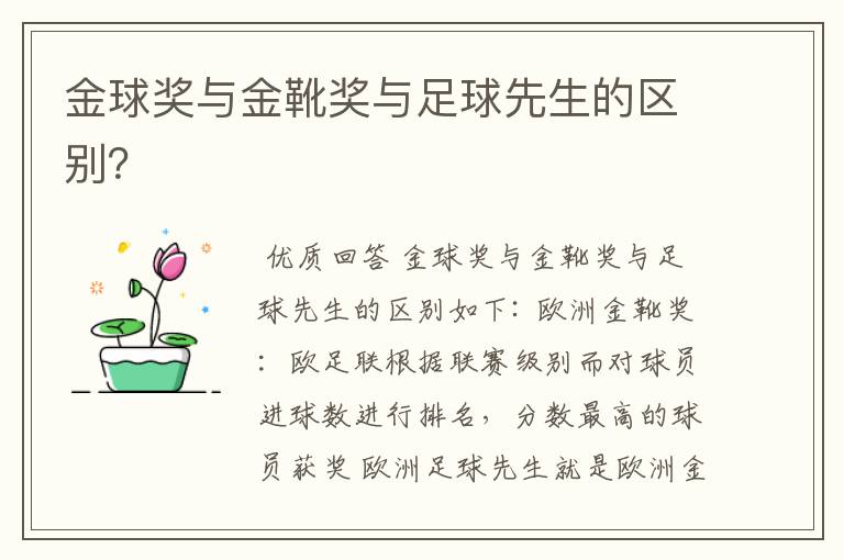 金球奖与金靴奖与足球先生的区别?